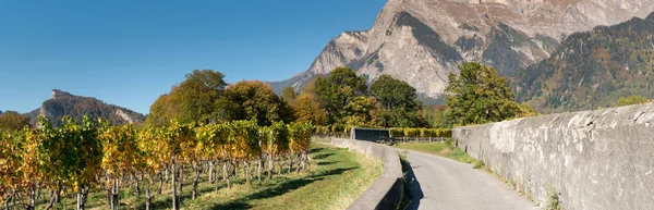 Paisaje Montaña Rural Con Viñedos Hoja Dorada Paredes Rocosas Suiza — Foto de Stock