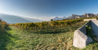 altın yaprak üzüm bağları ve geç sonbaharda İsviçre kaya duvarları ile kırsal dağ manzarası