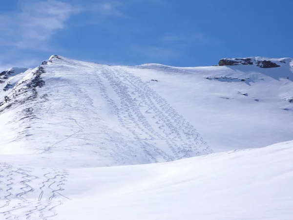 Sok Pálya Backcountry Síelők Egy Hegycsúcson Svájci Alpokban — Stock Fotó