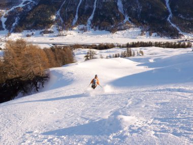taze kar Vadisi yukarıdan aşağıya orman yoluyla İsviçre Alpleri'nde kış kayak backcountry kayakçı