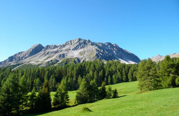 Malerische Sommerliche Berglandschaft Den Schweizer Alpen Bei Savognin Mit Grünen — Stockfoto