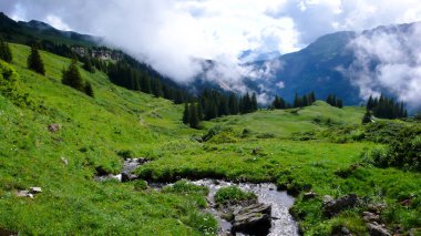 çayırlar ve bulutlu ve Sisli sabah gökyüzü altında ortasında küçük bir dere ile gür yeşil dağ manzarası
