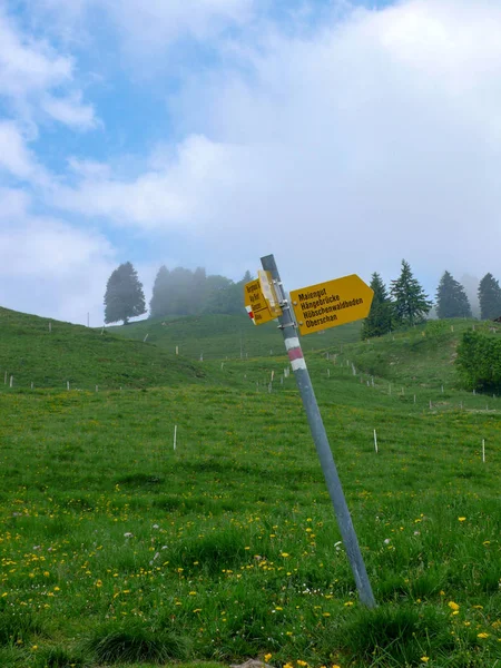 vertical landscape view of green meadows and coniferous trees in a mountain landscape under a cloudy and blue sky with a yellow hiking trail marker in the foreground