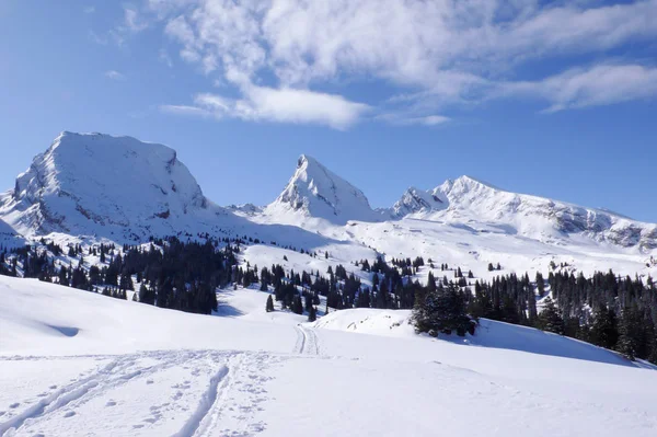 Горизонтальний Вид Зимовий Гірський Пейзаж Трьома Вершинами Довгою Пішохідною Стежкою — стокове фото