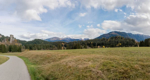 Панорамный Вид Зеленые Пастбища Лес Осенних Цветах Заснеженными Горами Позади — стоковое фото