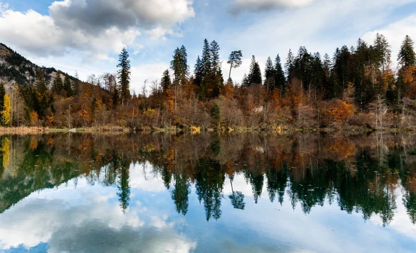 Autunno Colore Foresta Paesaggio Fogliare Circondano Lago Montagna Idilliaco Nelle — Foto Stock