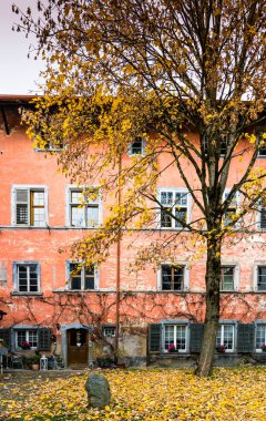 avlu ile eski rustik ev ön tipik kuzeydoğusunda İsviçre mimarisi ve sonbahar renk ağaç ve yaprak ön planda