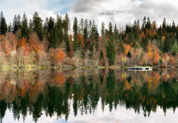 Autunno Colore Foresta Paesaggio Fogliare Circondano Lago Montagna Idilliaco Nelle — Foto Stock