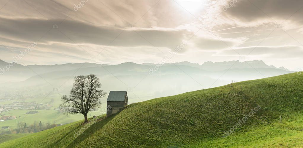 idyllic and peaceful mountain landscape with a secluded wooden barn and lone tree on a grassy hillside and a great view of the Swiss Alps behind