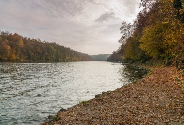Ren Nehri ve riverside ile sonbahar renk bitki örtüsü ve orman bir bulutlu gökyüzü altında
