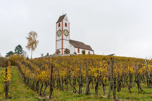 Vista Una Pintoresca Iglesia Rural Blanca Rodeada Viñedo Dorado Pinot — Foto de Stock