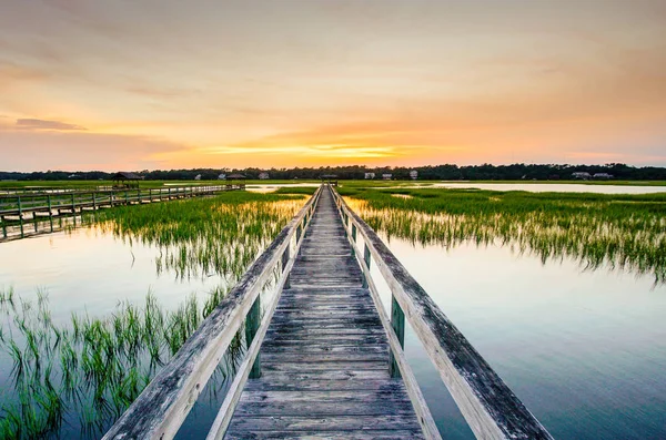 在五颜六色的夏日日落中 在富有表现力的天空下 在海岸水域的海岸水面上 有一个非常长的木制木板路码头 前景是在水中和沼泽草中反射 — 图库照片