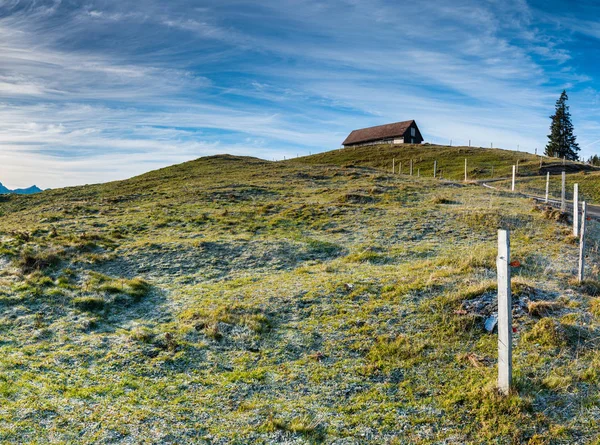 Open Landschappen Met Grazige Weide Rijm Ijs Oude Houten Hek — Stockfoto