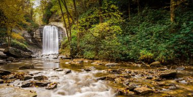 Ayna North Carolina Appalachians geç sonbahar sonbahar renk yeşillik ile düşüyor