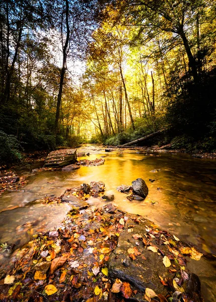 Guardando Glass Creek Negli Appalachi Della Carolina Del Nord Nel — Foto Stock