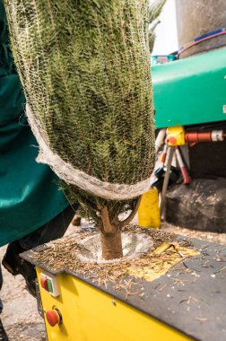 delik Noel ağaçları bir zemin sondaj makinesi ile bir adamın ayrıntılı görünüm 