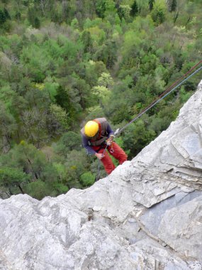 gri kaya uçurumdan gür yeşil orman aşağıdaki rappelling dağcı