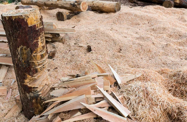 Ourdoor Taller Para Leñador Anad Guardabosques Para Cortar Madera Cuñas —  Fotos de Stock