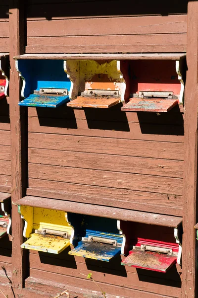 Detail eines Bienenhauses mit vielen bunt bestückten Bienenstöcken — Stockfoto