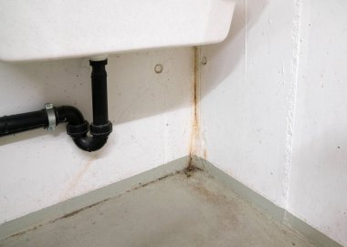 oksitlenmiş ve paslı kalsiyum ve kalıp ve küf mevduat WA