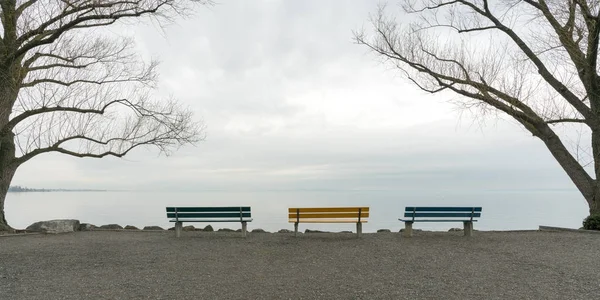 Lakeshore en lege parkbanken omlijst door bladloze bomen met een — Stockfoto