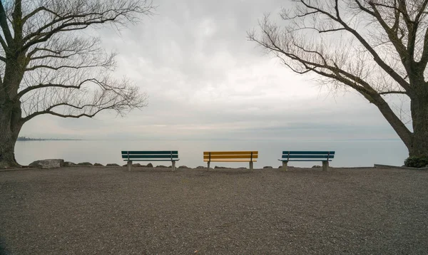 Bancs de lac et de parc vide encadrés par des arbres sans feuilles avec un — Photo