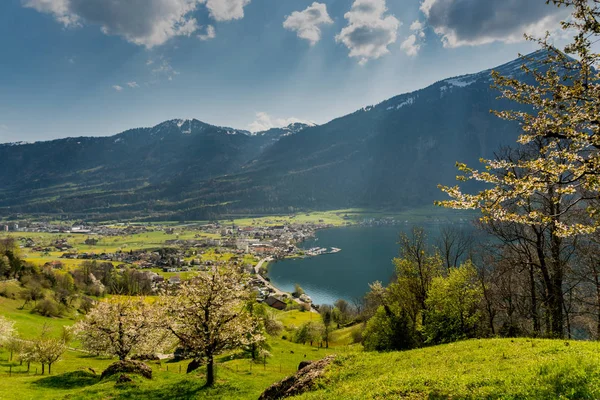 Le village d'Arth sur le lac de Zoug dans les Alpes centrales de Suisse — Photo