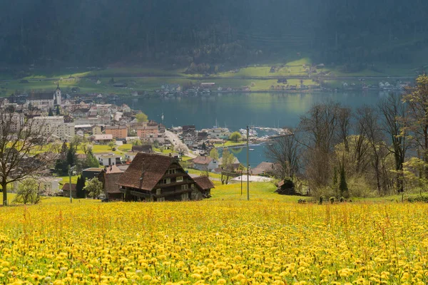 A aldeia de Arth no Lago Zug nos alpes centrais de Switzerla — Fotografia de Stock