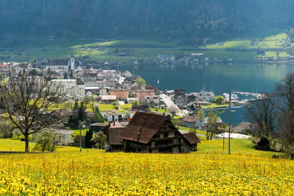 A aldeia de Arth no Lago Zug nos alpes centrais de Switzerla — Fotografia de Stock