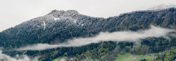 Panorama paisaje de montaña con nieve fresca y nubes de niebla sobre el bosque — Foto de Stock