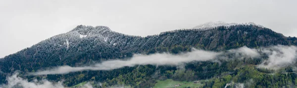 Panorama paisaje de montaña con nieve fresca y nubes de niebla sobre el bosque — Foto de Stock