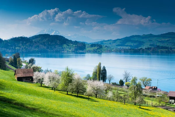 Idylická horská krajina na švýcarském venkově se farmami jezero a memoranda o porozumění — Stock fotografie