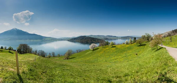 Belo panorama paisagem à beira do lago na Suíça com campos verdes e flores florescentes e árvores e montanhas atrás — Fotografia de Stock