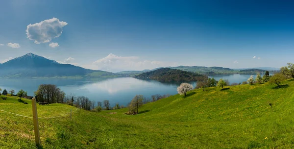 Nádherné panorama krajiny u jezera ve Švýcarsku se zelenou — Stock fotografie