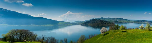 Красивый пейзаж на берегу озера в Швейцарии с зелеными полями и цветущими цветами, деревьями и горами позади — стоковое фото