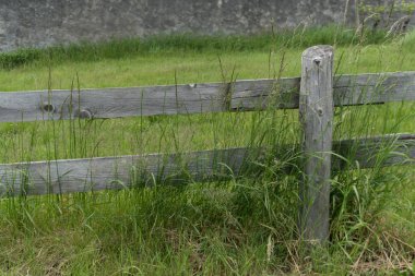 uzun boylu çim ile yeşil bir çayırda rustik ahşap çit