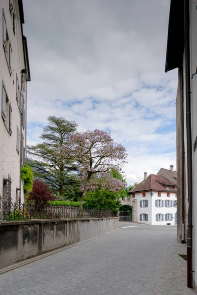 Maienfeld, GR / Switzerland - 27 May 2019: cobblestone street le — Stock Photo, Image