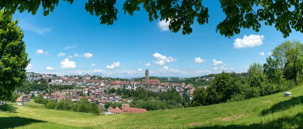Панорамный вид на исторический швейцарский город Фрибур со своим старым городом и многочисленными мостами и собором в обрамлении зеленых листьев — стоковое фото