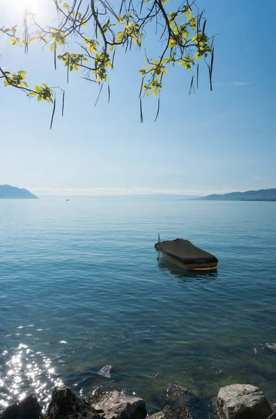 Bella vista sul lago di Ginevra e le montagne circostanti su una somma — Foto Stock