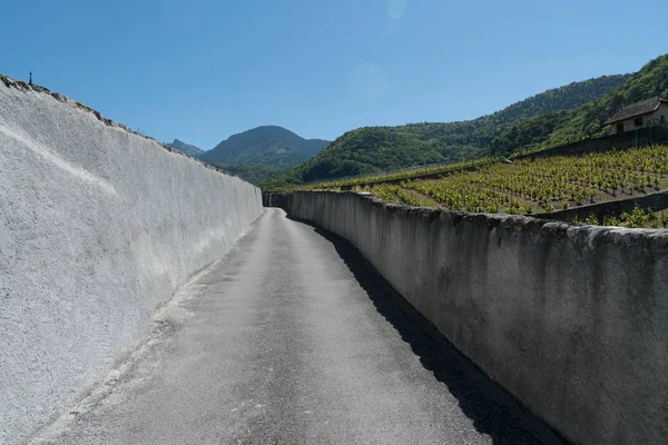 Estrada de campo ladeado por velhas paredes de rocha leva através de vinhas w — Fotografia de Stock