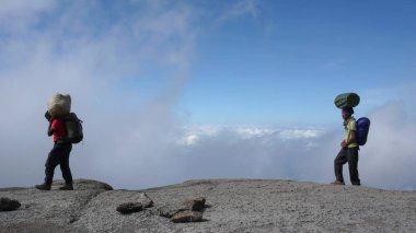 Kilimanjaro Dağı / Tanzanya: 5 Ocak 2016: Hamallar equi taşıyor