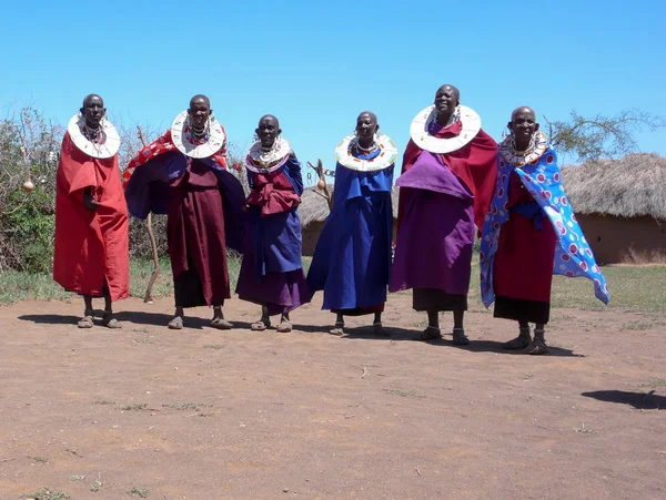 올포폰기, 킬림자로 주 / 탄자니아: 29. 2015년 12월: 타 — 스톡 사진
