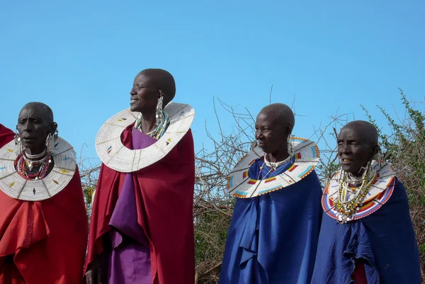 올포폰기, 킬림자로 주 / 탄자니아: 29. 2015년 12월: 타 — 스톡 사진