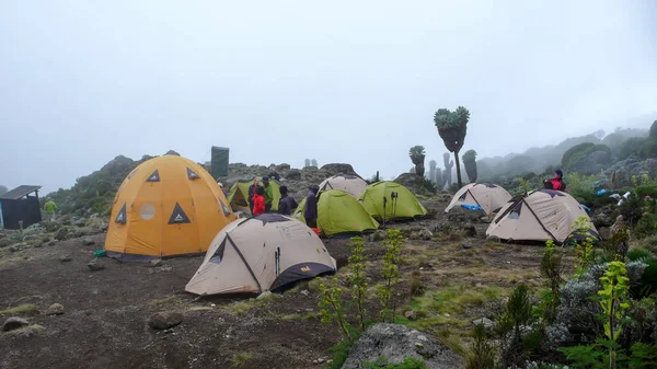 Mount Kilimanjaro / Tanzania: 4 January 2016: high camp on Mount — Stock Photo, Image
