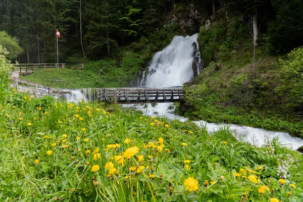 pastoral şelale yeşil orman manzara ve bir wil ile çevrili