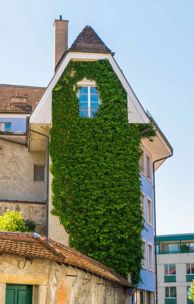 Tall narrow house in the city overgrown with vines — Stock Photo, Image