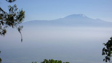 görkemli kar kaplı Kilimanjaro Dağı Tanzanya palmiye ile çerçeveli