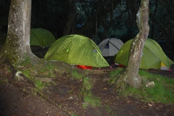 Campsite in the tropical rain forest on Mount Kilimanjaro — Stock Photo, Image