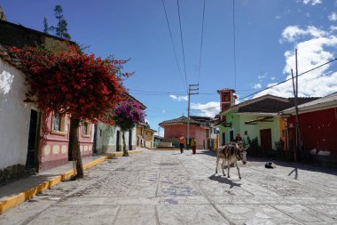 turistler ve eşekler Chavin de Huantar boş sokaklarında yürümek