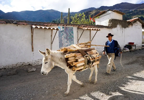 Muleskinner peruano e agricultor traz seus produtos para a ci local — Fotografia de Stock